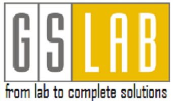GS Labs